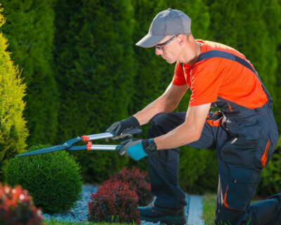gardenservices